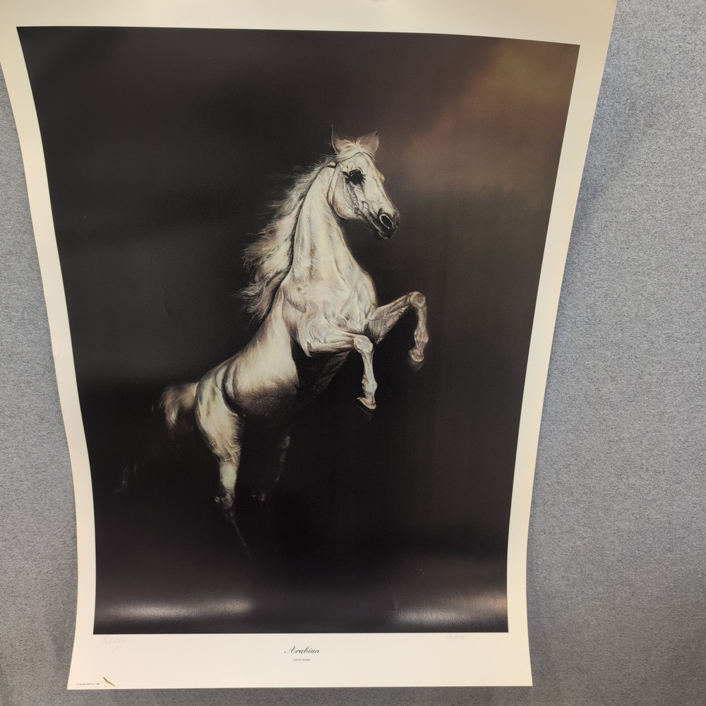 Sonia Torres Limited Edition Numbered, Signed Arabian Front Horse Artist's Print - Picture 1 of 8